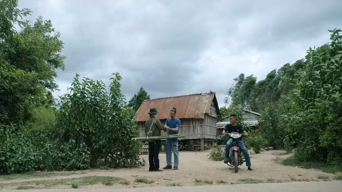 Phim 'Trời cao nguyên xanh’ phát sóng lúc 21 giờ, từ thứ Hai đến thứ Sáu hằng tuần trên VTV1, bắt đầu từ ngày 6/7.