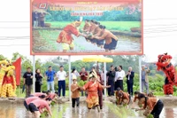 Tái hiện Lễ hội Vua Hùng dạy dân cấy lúa góp phần gìn giữ giá trị di sản “Tín ngưỡng thờ cúng Hùng Vương”.