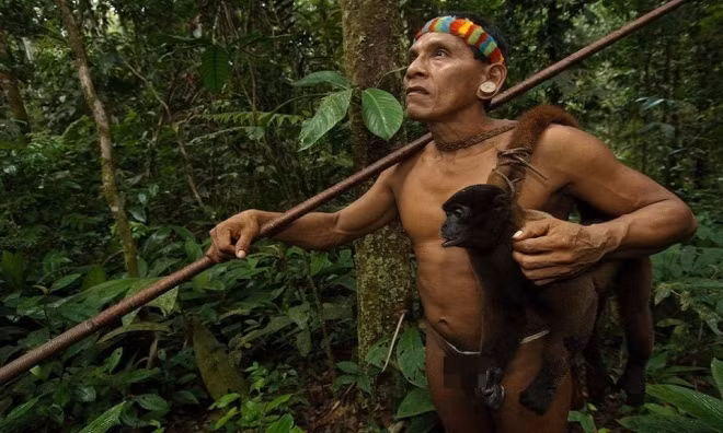 Bộ tộc sát khỉ chân 6 ngón, đu cây giỏi như Tarzan 