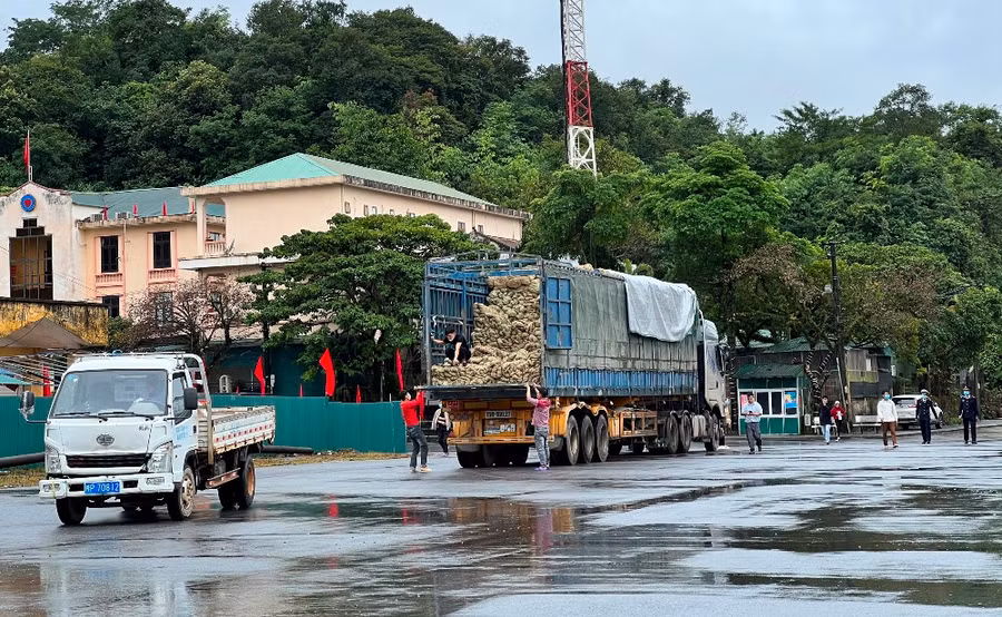 Điều đáng nói, thời gian này đang vào mùa tiêu thụ nông sản cuối năm của cư dân biên giới. Nhưng mỗi ngày cửa khẩu này chỉ xuất khẩu vỏn vẹn 15 tấn hàng, trong đó chủ yếu là bèo tây khô, cói và không có người xuất nhập cảnh.