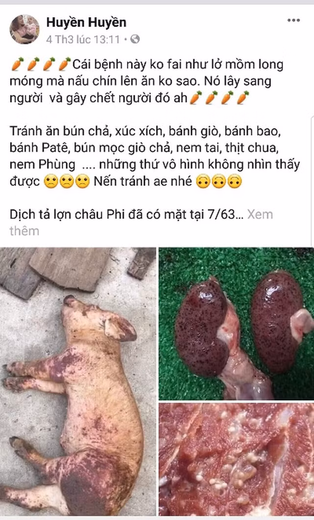 Một số tài khoản trên mạng xã hội facebook đã tung những tin đồn thất thiệt về dịch tả lợn châu Phi khiến người dân hoang mang. Ảnh: theo An ninh Thủ đô