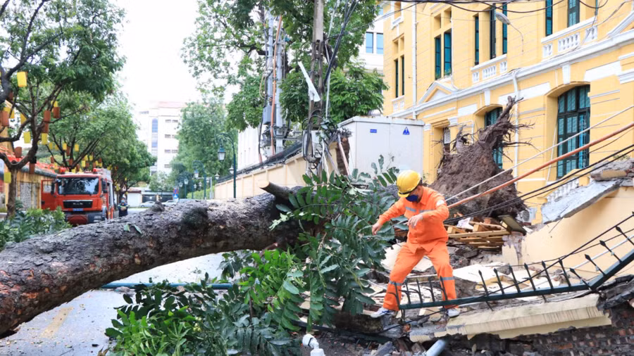 Sự cố cây đổ trên quận Hoàn Kiếm.