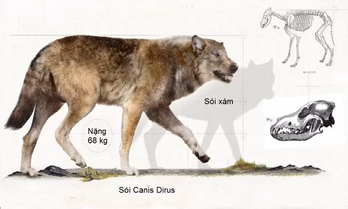 Những quái vật thống trị thế giới thời tiền sử