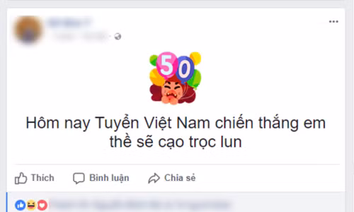 Mạng xã hội ngập hình ảnh ủng hộ tuyển Việt Nam ảnh 7