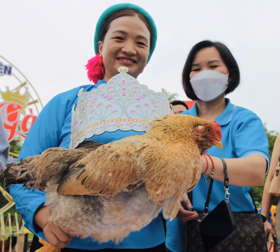 Hoa hậu gà thuộc về gà của đội xã Đại Dực. Hoa hậu gà thuộc về gà của đội xã Đại Dực.