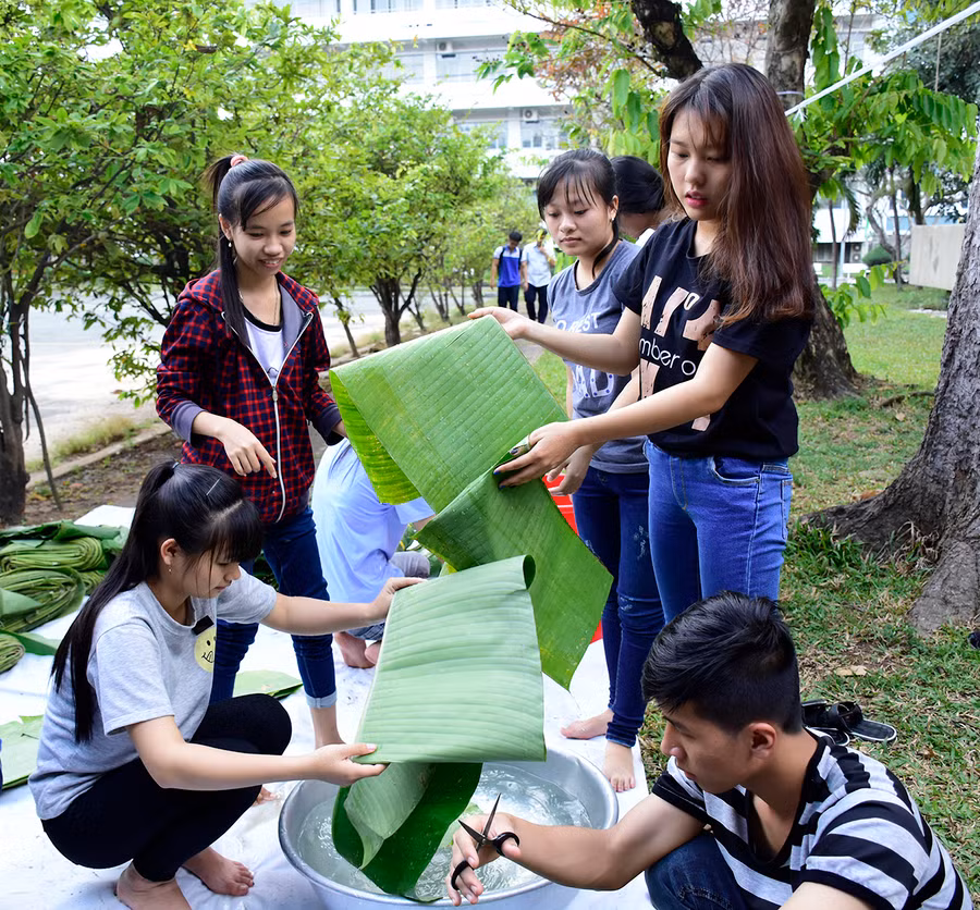 Cắt lá