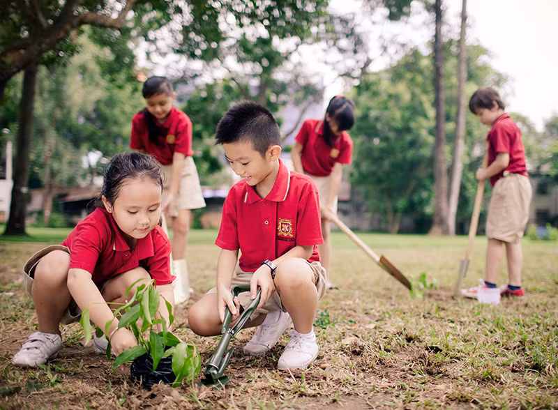 Học sinh VAS tham gia trồng cây hưởng ứng chủ đề năm học Xanh