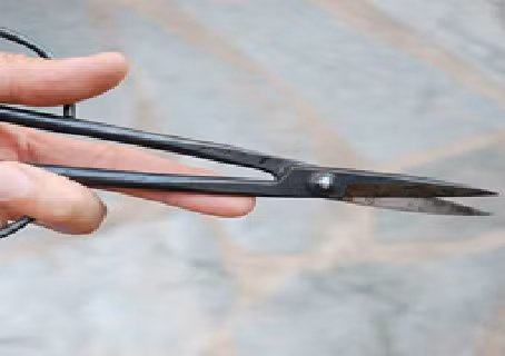 Bị ghen vô cớ, vợ đâm thủng tim chồng