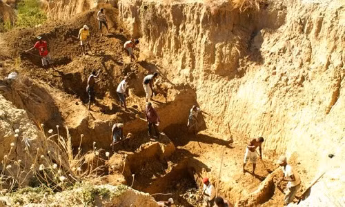 Các nhà nghiên cứu khai quật xương chim voi ở di chỉ bên sông Christmas, Madagascar. Ảnh: BBC.