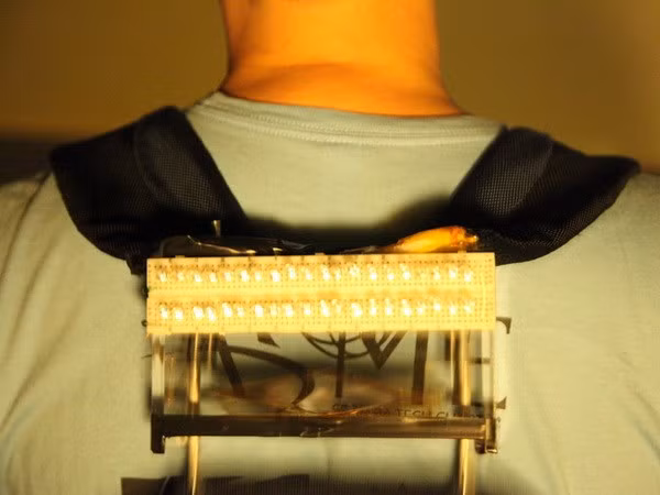 Sạc pin nhờ vận động. (Nguồn: livescience.com)