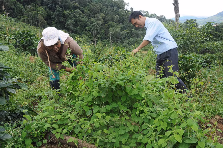 Chương trình mục tiêu quốc gia ở Kon Tum đã đạt được nhiều kết quả tích cực