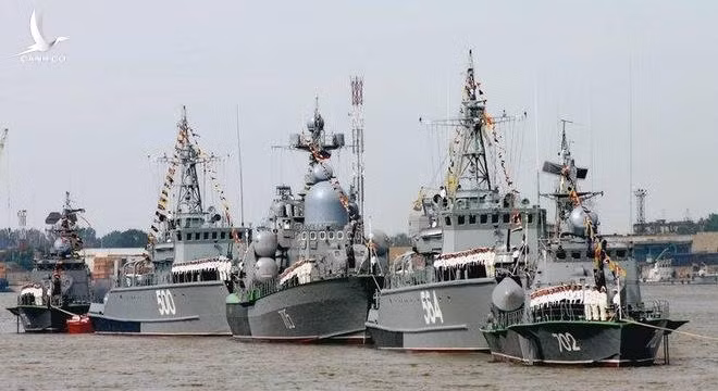 Ảnh minh họa.