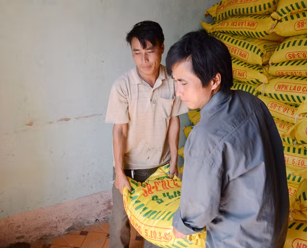 Chương trình 135 cấp phân bón cho nông dân xã Cao Sơn, huyện Mường Khương giúp người dân phát triển sản xuất nông nghiệp. Ảnh: Báo Lao Cai