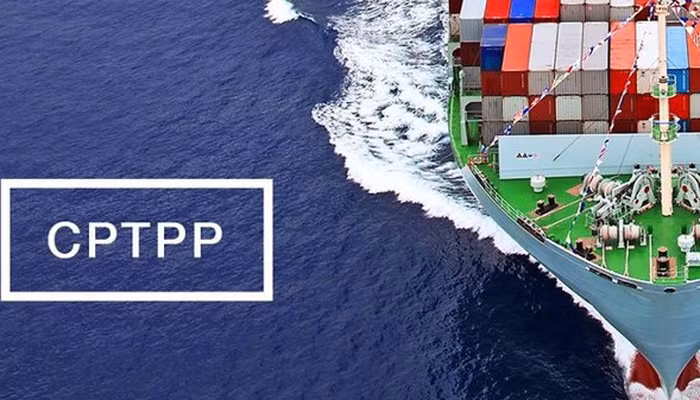 CPTPP có hiệu lực mang đến nhiều cơ hội và cả những thách thức với Việt Nam. Ảnh minh họa