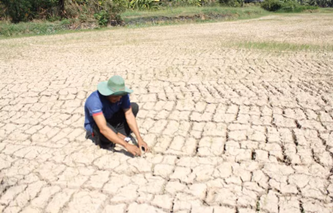 Những tác nhân gây ra hạn hán