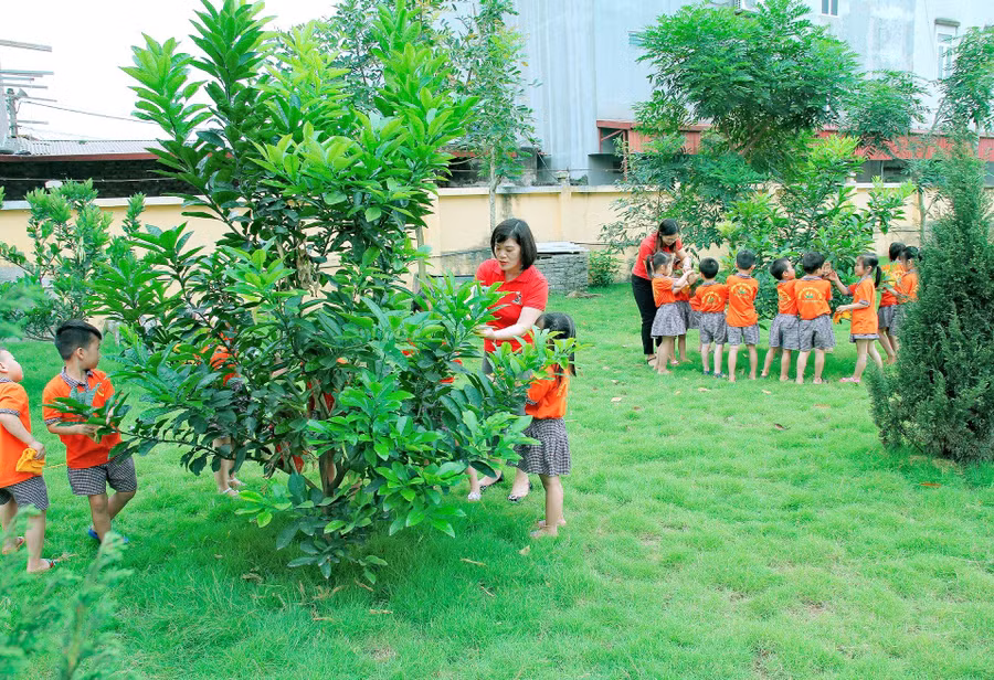 Học sinh trường Mầm non Khắc Niệm với các hoạt động ngoại khóa học về chăm sóc cây xanh.
