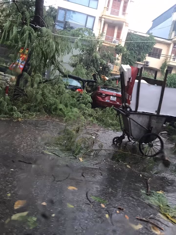 Cây xanh đổ gây khiến giao thông gặp khó khăn.