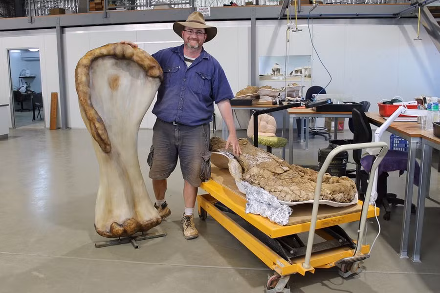 Công nghệ 3D được sử dụng để tạo ra bản quét mô hình bộ xương của Australotitan để so sánh với những loài khủng long khác.
