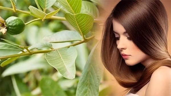 14 cách trị rụng tóc tại nhà nhanh nhất từ nguyên liệu thiên nhiên - 5