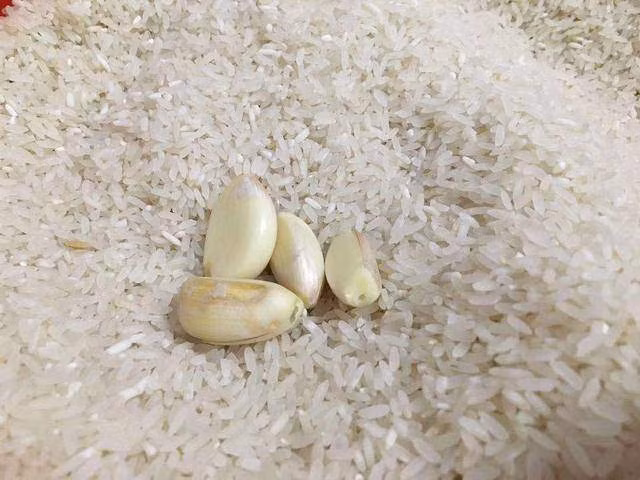 Gạo mua nhiều cho ngay thứ này vào để cả năm chẳng sợ mối mọt - 3