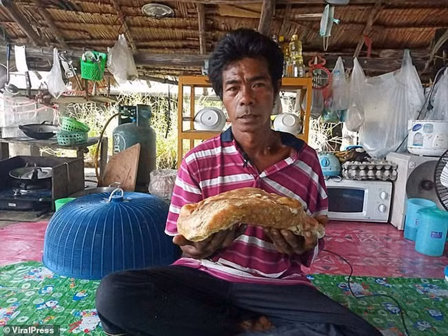 Mấy cục đá xù xì nhặt ở đường tưởng vô dụng không ngờ là báu vật giá trị khủng - 12