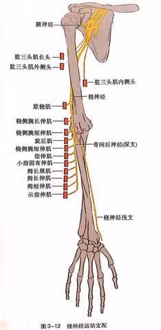 Ngủ ở tư thế này khiến chàng trai trẻ tê liệt tay, nhiều người cũng có thói quen như vậy - 3