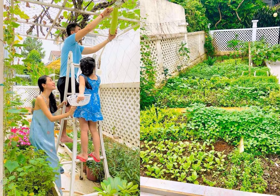 Góc vườn sang chảnh chuẩn nhà giàu trong biệt thự triệu đô của Cường Đô La và dàn sao Việt - 8