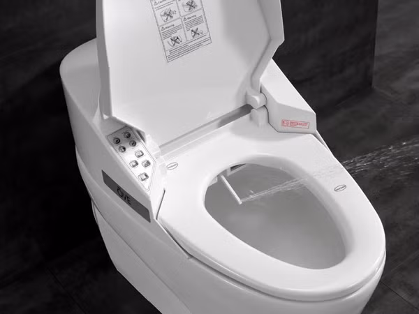 Vòi phun giúp rửa sạch khu vực "nhạy cảm". Người sử dụng có thể lựa chọn độ mạnh yếu cũng như hướng phun của nước.