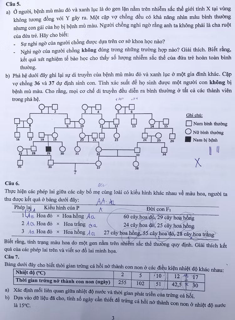 Đề thi vào lớp chuyên Sinh trường Khoa học tự nhiên - 2