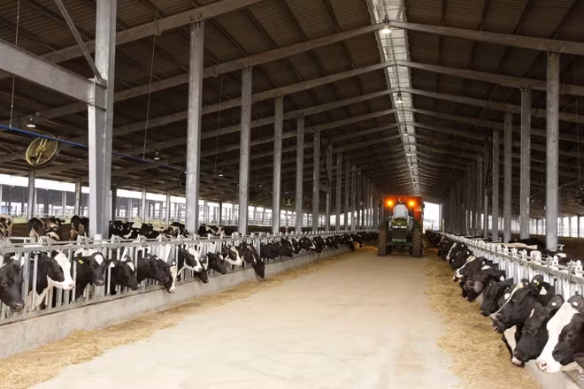 Anh hùng Lao động Thái Hương: Top 50 Phụ nữ châu Á có ảnh hưởng lớn ở tầm quốc tế - 3