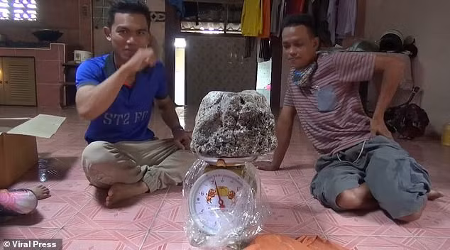 Một trong hai khối long diên hương mà 2 cha con vô tình tìm được nặng tới hơn 7 kg (ảnh: Daily Mail).