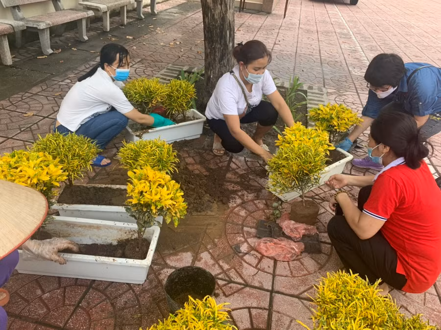 Giáo viên Trường Tiểu học Trần Phú trang trí khuôn viên nhà trường.