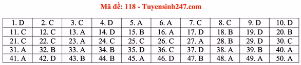 Gợi ý bài giải môn toán thi tốt nghiệp THPT 2020 - Ảnh 21.