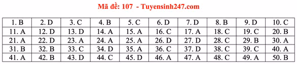 Gợi ý bài giải môn toán thi tốt nghiệp THPT 2020 - Ảnh 11.