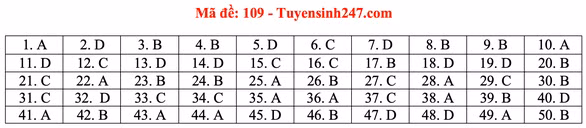 Gợi ý bài giải môn toán thi tốt nghiệp THPT 2020 - Ảnh 13.