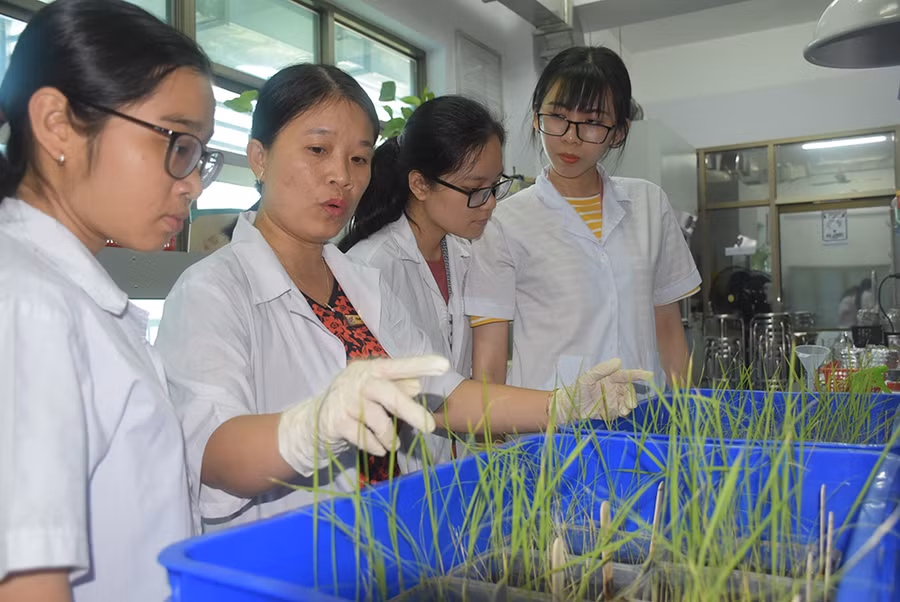 SV TDTU trong giờ học thực hành về nông nghiệp. Ảnh: C.Chương