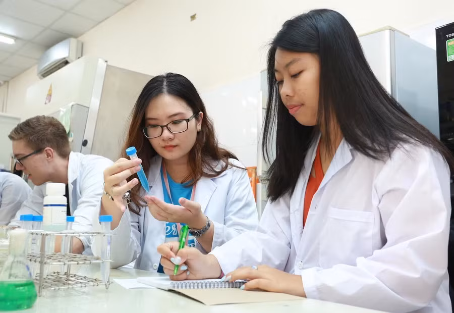 Hoạt động nghiên cứu tại RCID.