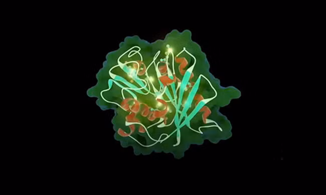 Phát triển thành công enzyme có khả năng phân hủy nhựa