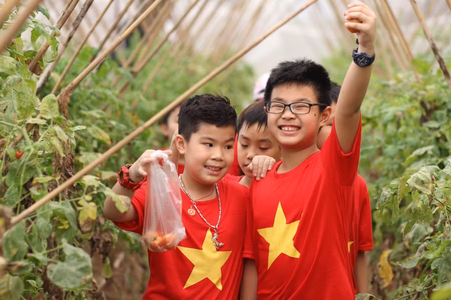 Ảnh minh họa