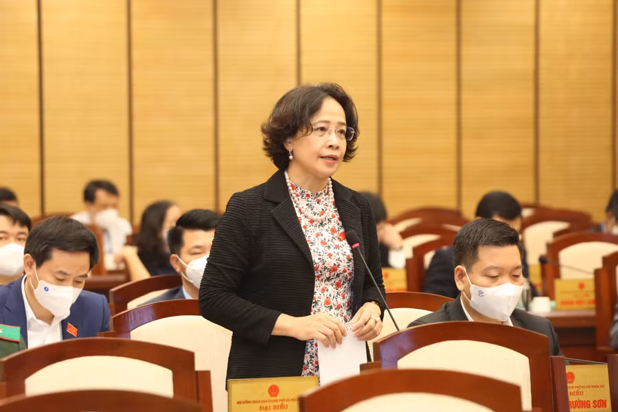 Đại biểu phát biểu tại kỳ họp.