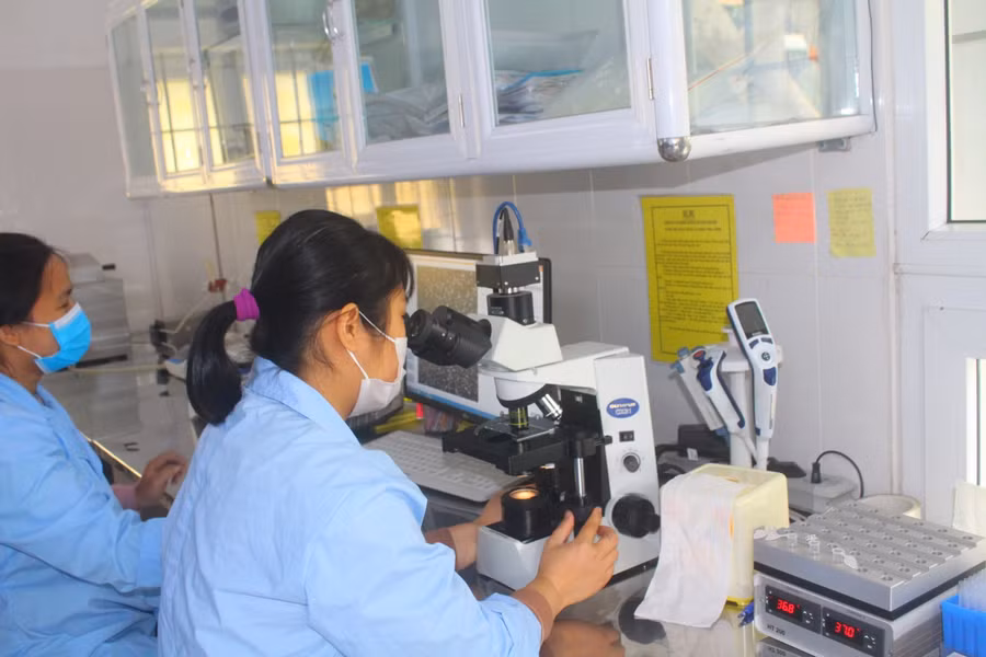 Ứng dụng khoa học công nghệ vào sản xuất nông nghiệp.
