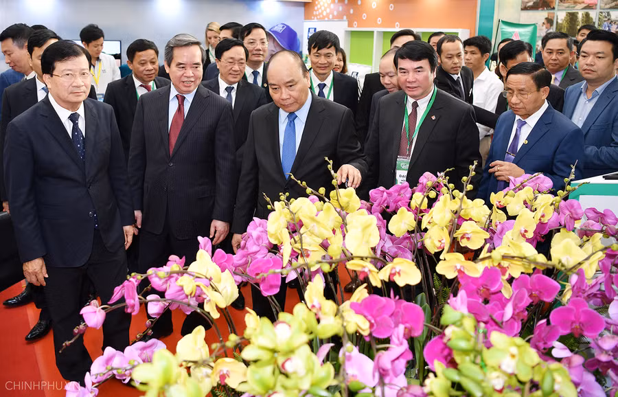 Trình độ khoa học công nghệ nông nghiệp được đẩy mạnh, 7,2 triệu lao động nông thôn được đào tạo nghề. Ảnh: VGP/Quang Hiếu