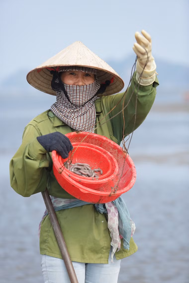 Sá sùng là loại thân mềm, sinh sống ở vùng bãi cát ven biển, đặc biệt là nơi thuỷ triều lên xuống tạo ra những roi cát. Sá sùng có da trơn, thân tròn màu hồng nhạt, dài khoảng hơn 10cm - 15cm.