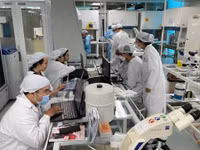 Các nhà khoa học tại Viện Tế bào gốc, Trường Đại học Khoa học Tự nhiên, ĐHQG TPHCM. Ảnh: Hà An.