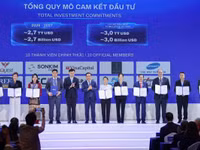 Lãnh đạo UBND TPHCM trao giấy chứng nhận cho 10 thành viên đầu tiên của VIFC-HCMC. Ảnh: BTC.