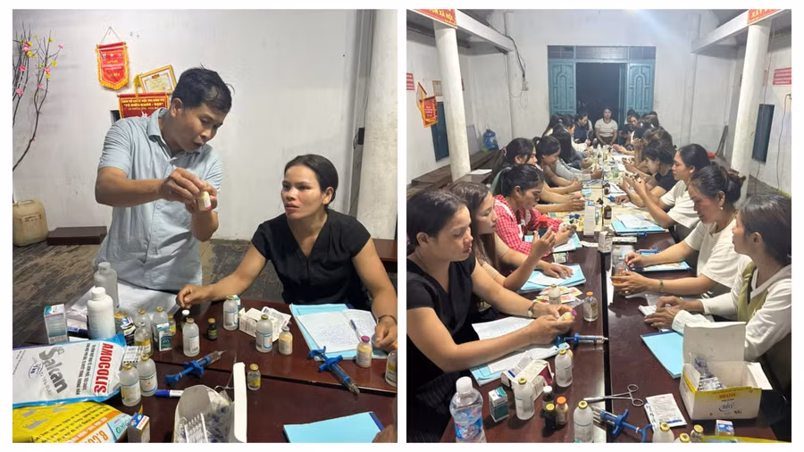 Học viên được hướng dẫn nhận biết, sử dụng thuốc thú y đúng cách trong chăn nuôi heo.