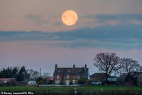 full-moon-6.jpg