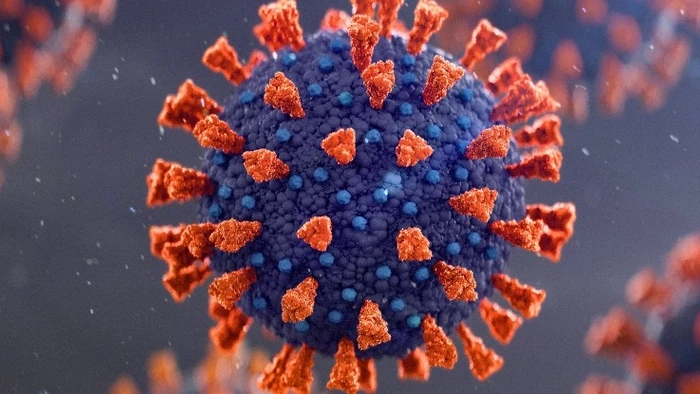 Nhiễm trùng kéo dài cho phép virus khám phá các cách lây nhiễm tế bào hiệu quả hơn. Ảnh minh hoạ. 