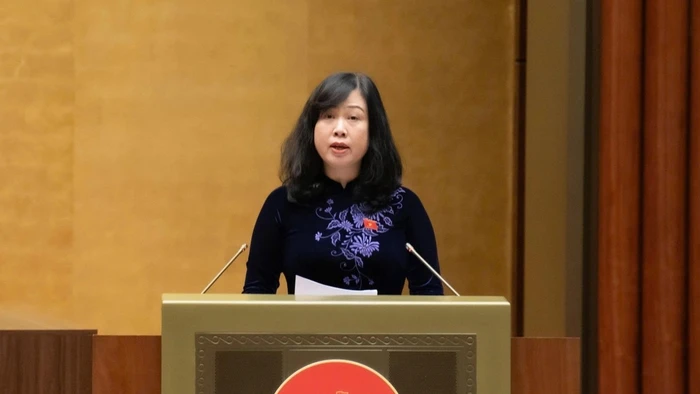 Bộ trưởng Bộ Y tế Đào Hồng Lan. 