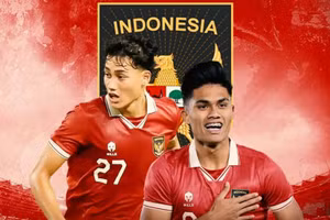 Indonesia dự định nhập tịch thêm 6 cầu thủ.